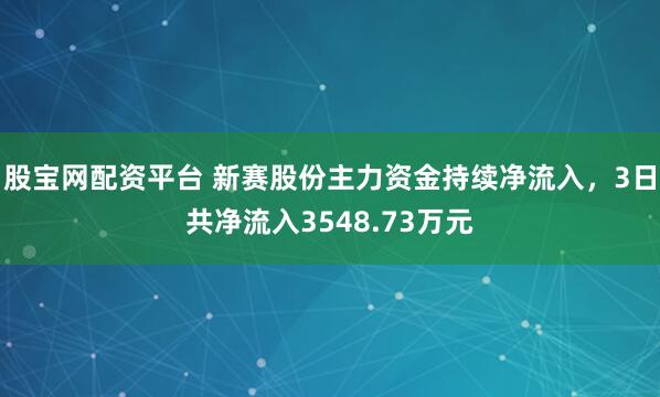 股宝网配资平台 新赛股份主力资金持续净流入，3日共净流入3548.73万元