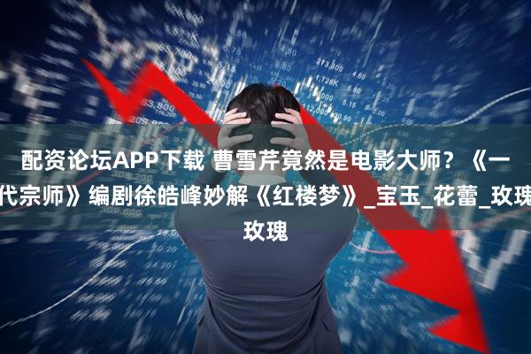 配资论坛APP下载 曹雪芹竟然是电影大师？《一代宗师》编剧徐皓峰妙解《红楼梦》_宝玉_花蕾_玫瑰