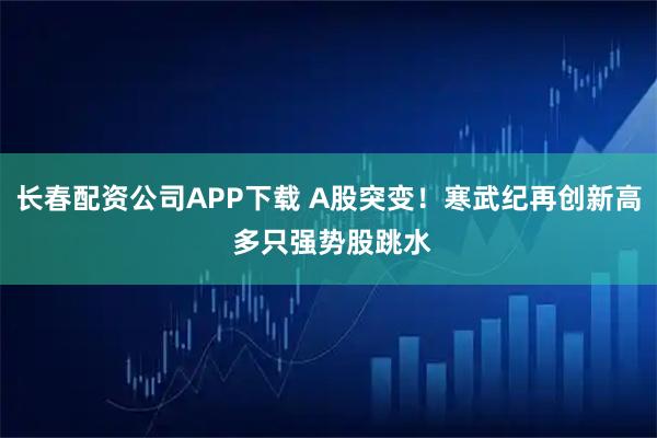 长春配资公司APP下载 A股突变！寒武纪再创新高 多只强势股跳水